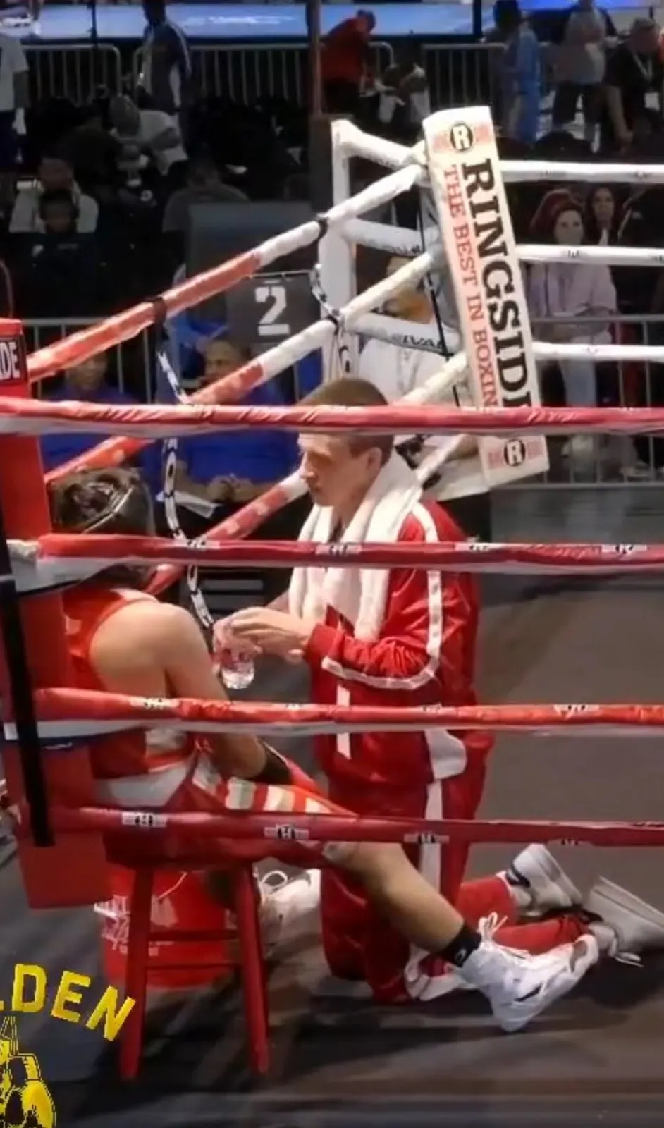 A boxer resting in the corner